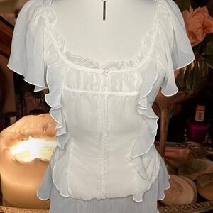 Express Y2K Cottage Core Chiffon ruffle top ✨